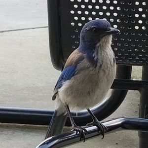 Meet your Posher, Jeff